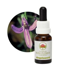 Angelsword, 15 ml